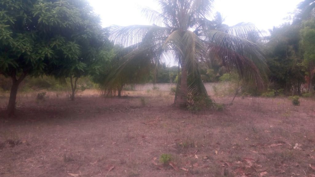 0.25 acre for sale in Vipingo Kuruwitu Beach area