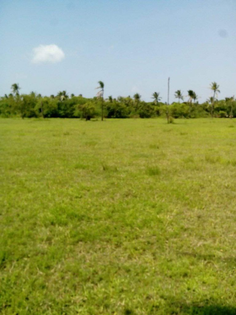 1 acre farm land for sale in Mtwapa, Mtepeni area