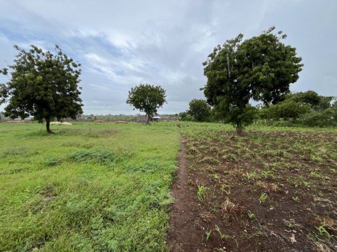 kilifi bofa land