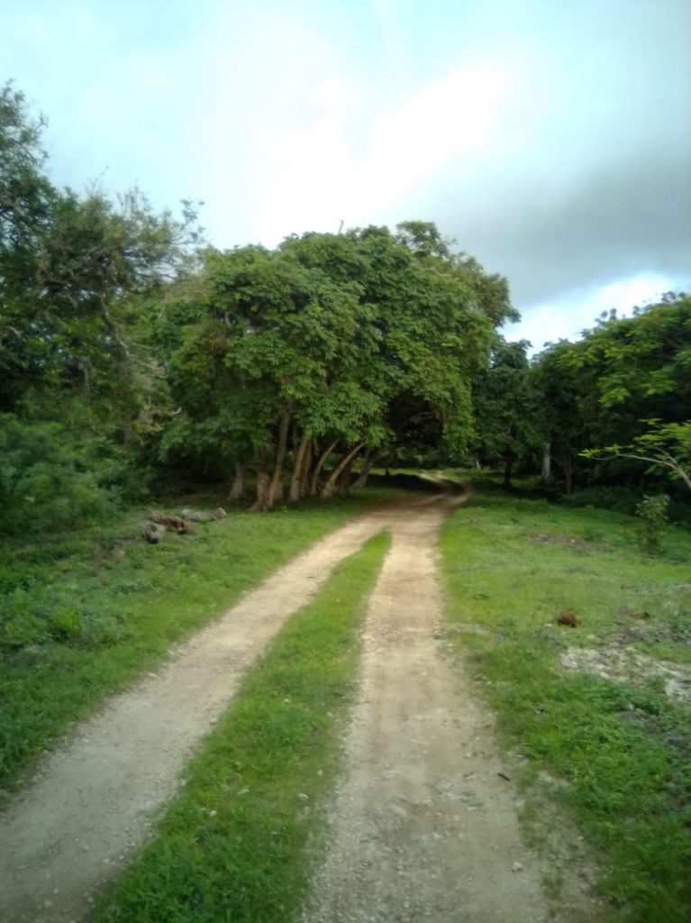 Land  for sale at Kuruwitu Vipingo Beach