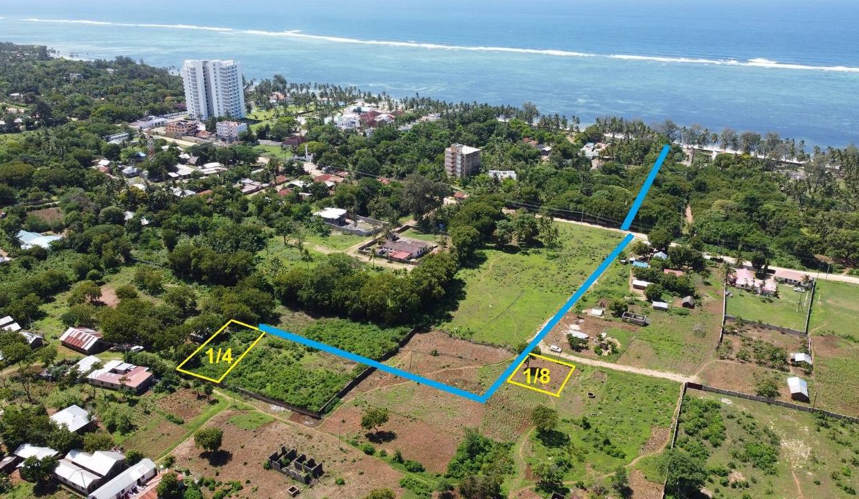 WhatsApp Image 2023-08-22 at 11.09.38 (1)