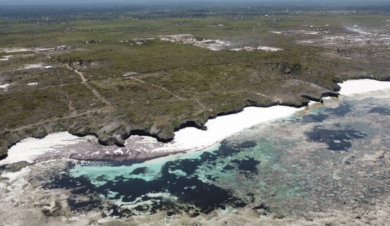 Screenshot 2024-09-25 090452 - Copy