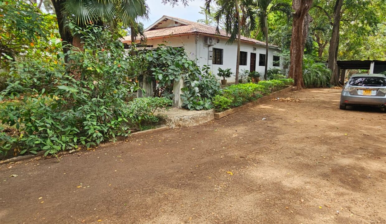 WhatsApp Image 2026-03-01 at 17.05.49