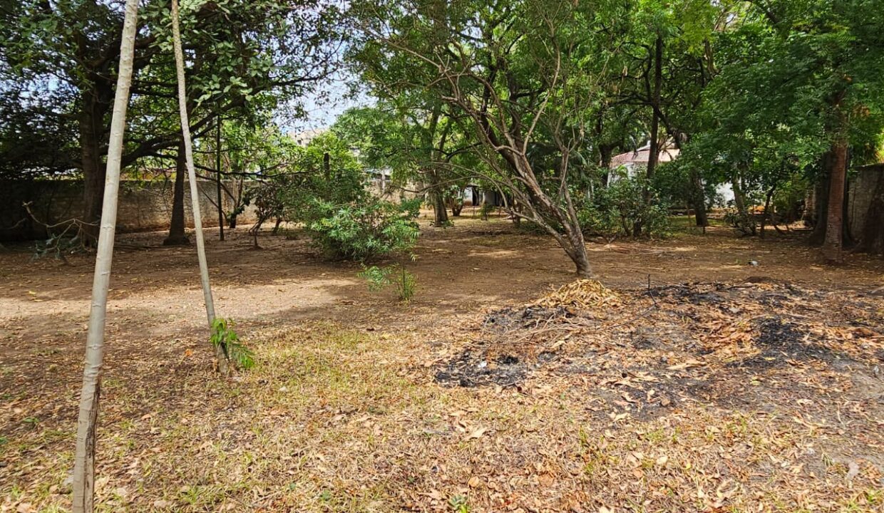 WhatsApp Image 2026-03-01 at 17.05.50 (1)