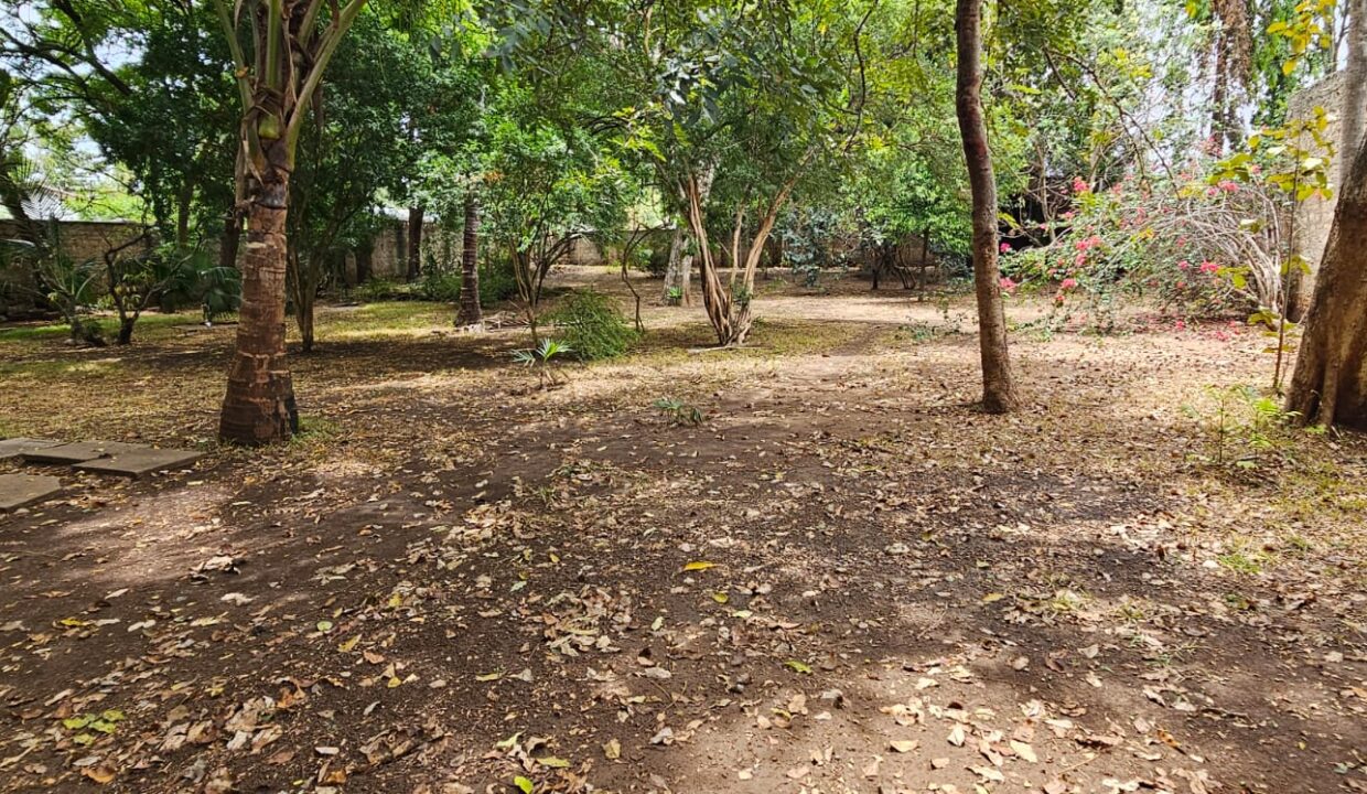 WhatsApp Image 2026-03-01 at 17.05.50 (2)