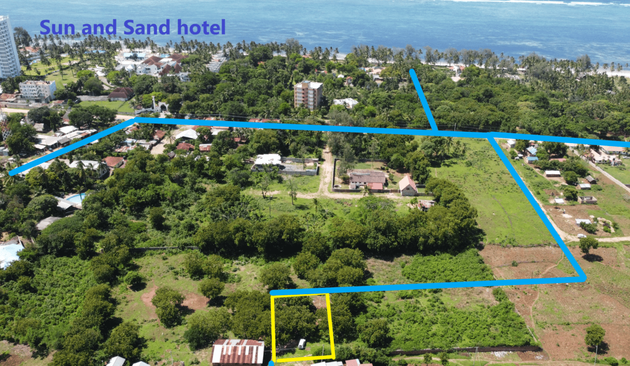 Untitled - Copy (2) (Large)