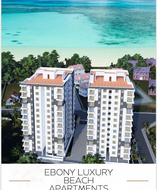 WhatsApp Image 2025-04-25 at 18.36.01