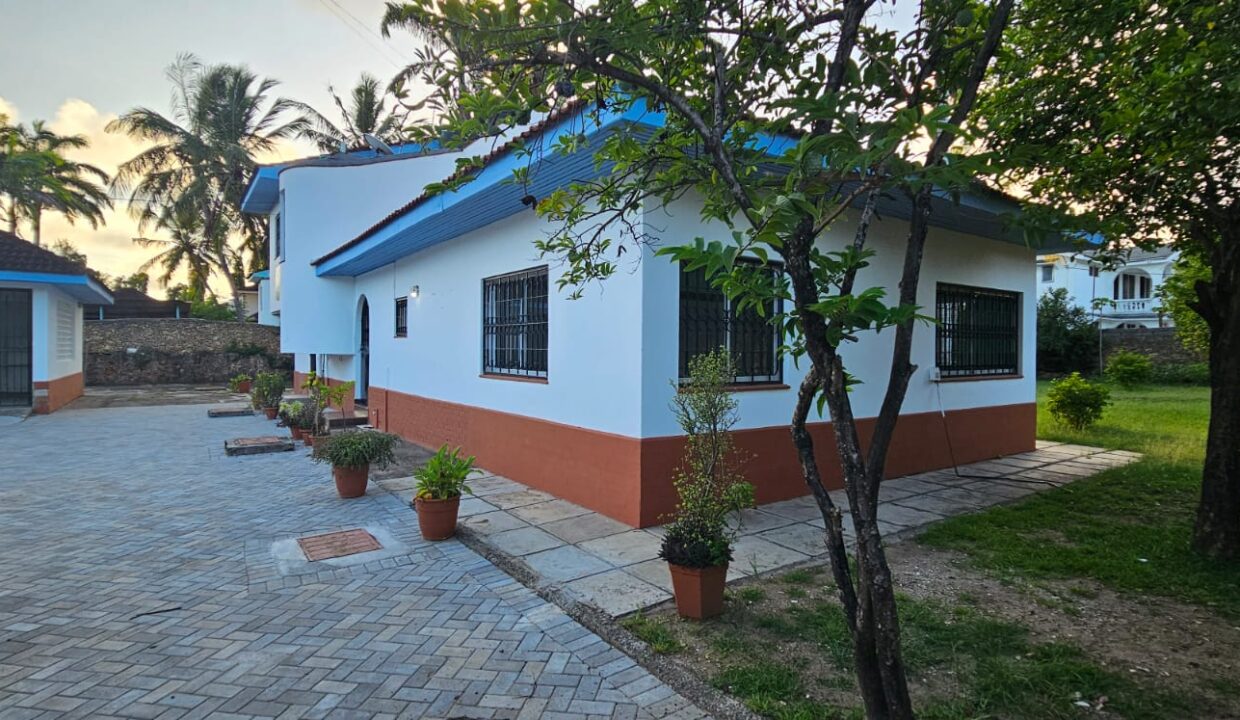 WhatsApp Image 2025-11-10 at 21.25.43 (1)