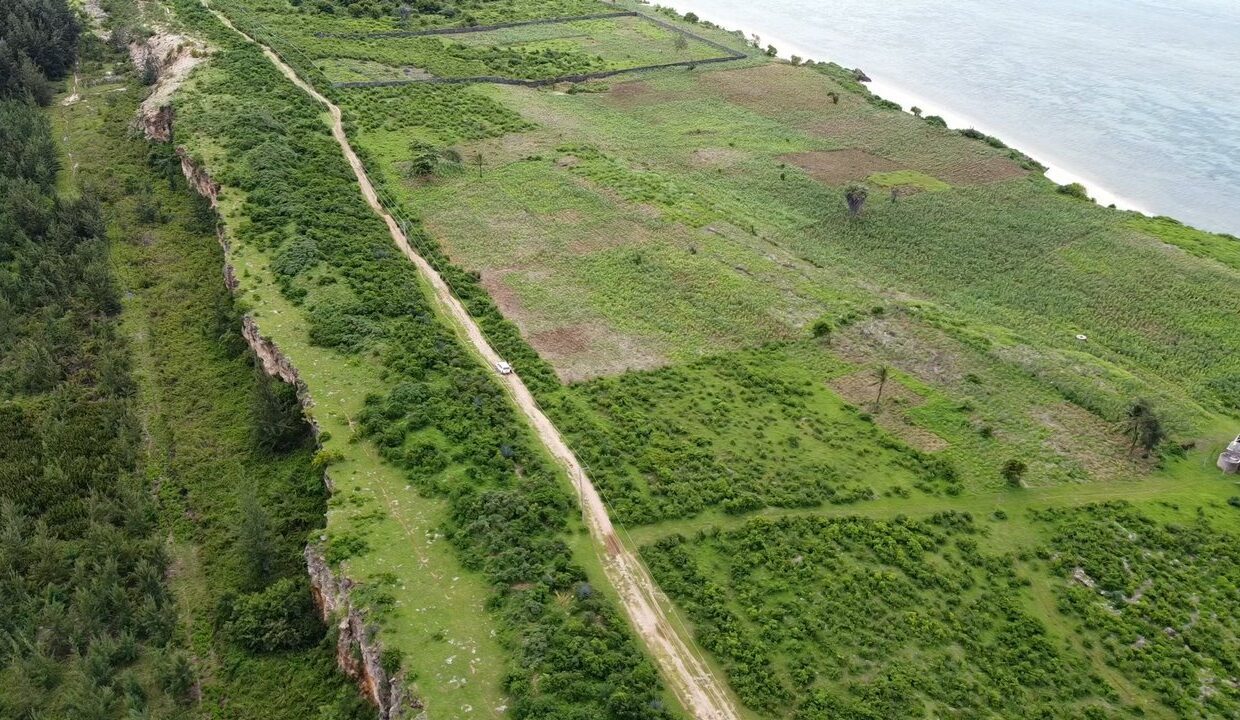 Screenshot 2025-05-30 151719 - 1K JPEG