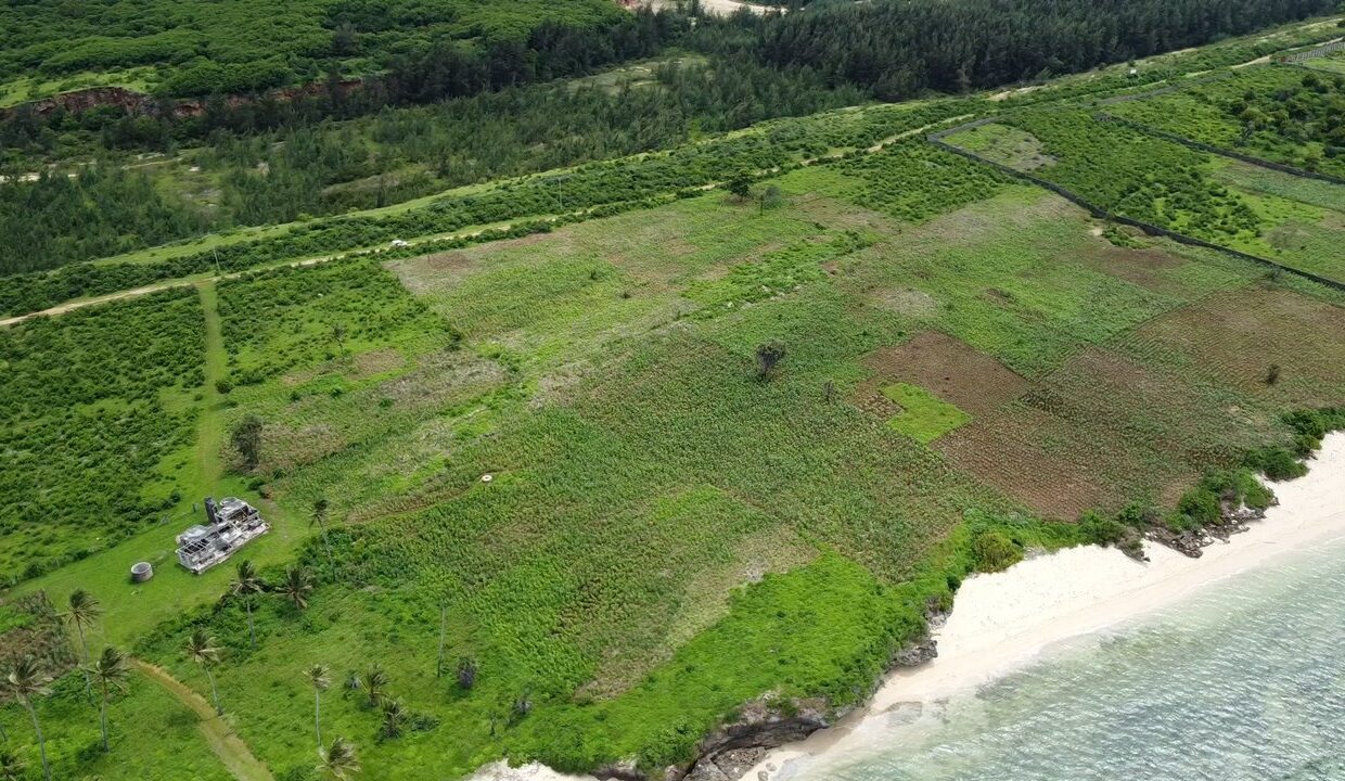 Screenshot 2025-05-30 151756 - 1K JPEG