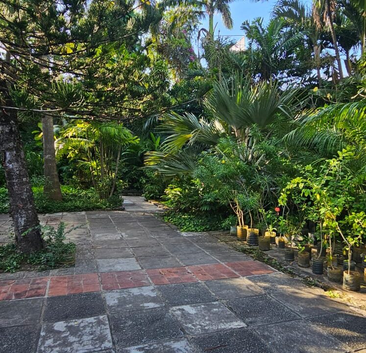 WhatsApp Image 2025-09-11 at 09.05.36