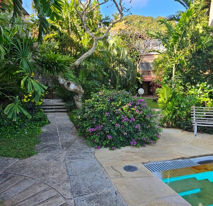 WhatsApp Image 2025-09-11 at 09.05.38 (1)