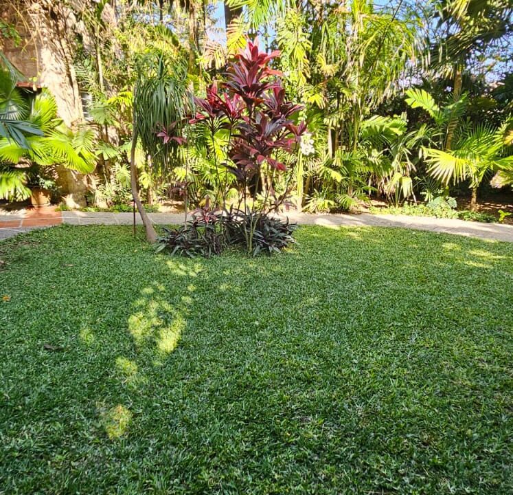 WhatsApp Image 2025-09-11 at 09.05.38