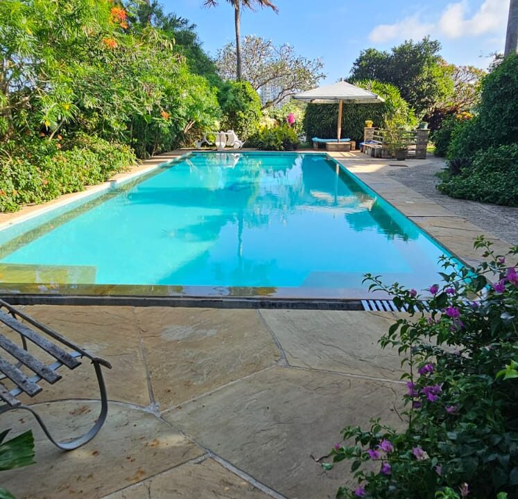 WhatsApp Image 2025-09-12 at 09.41.48