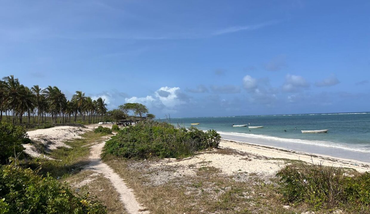 WhatsApp Image 2025-09-18 at 4.07.01 PM (1)