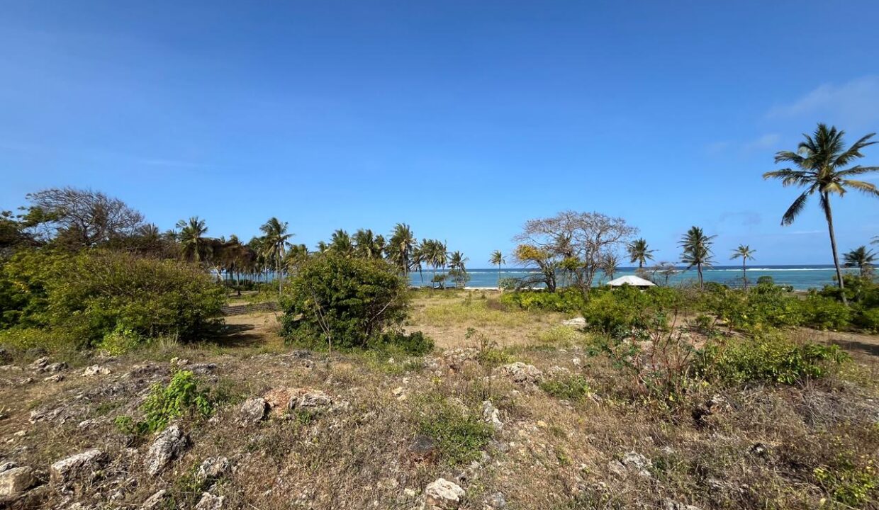 WhatsApp Image 2025-09-18 at 4.07.01 PM (10)