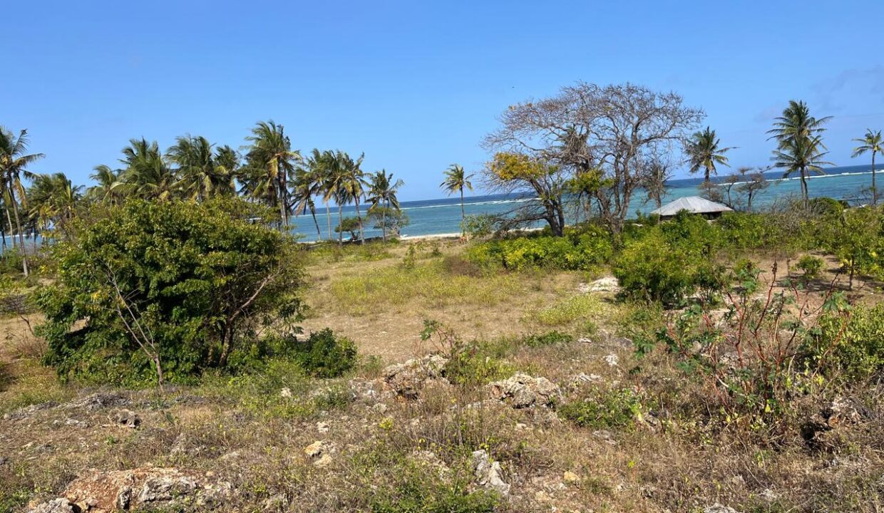 WhatsApp Image 2025-09-18 at 4.07.01 PM (11)