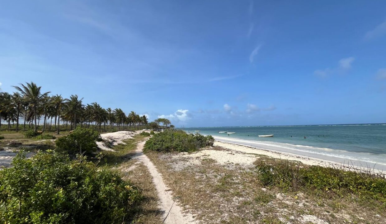 WhatsApp Image 2025-09-18 at 4.07.01 PM