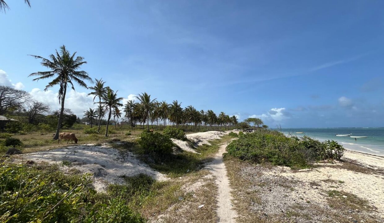 WhatsApp Image 2025-09-18 at 4.07.01 PM (2)