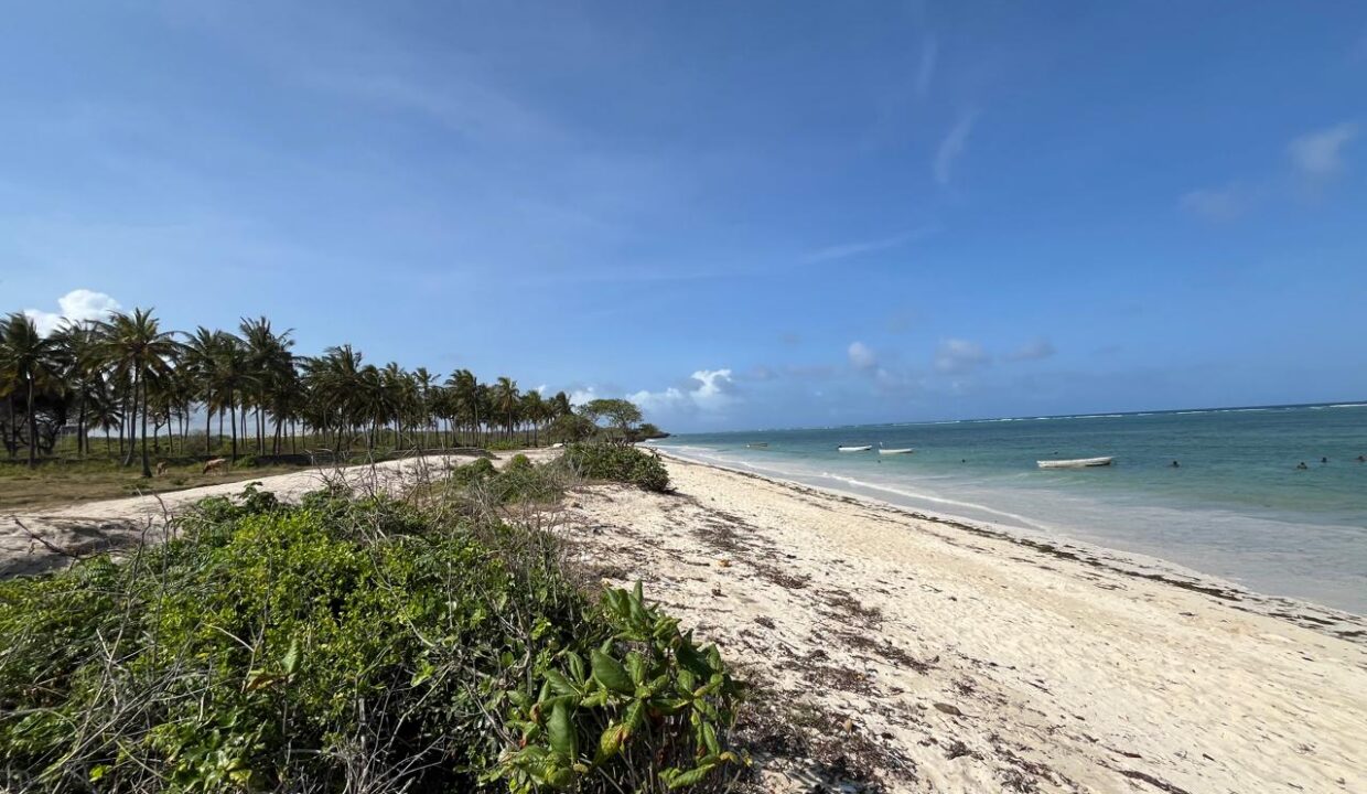 WhatsApp Image 2025-09-18 at 4.07.01 PM (3)