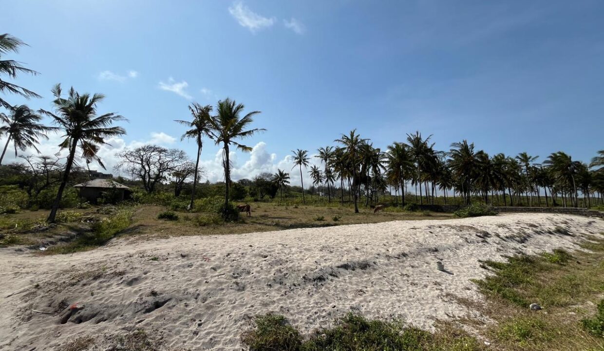 WhatsApp Image 2025-09-18 at 4.07.01 PM (4)