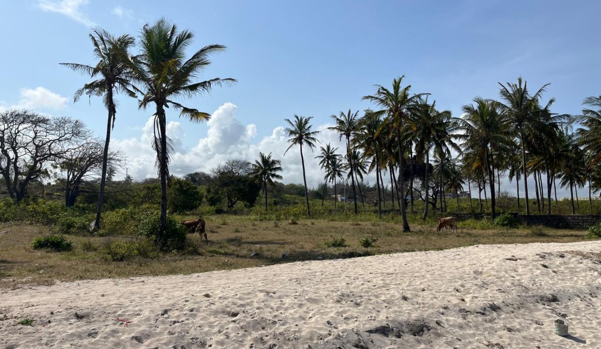 WhatsApp Image 2025-09-18 at 4.07.01 PM (5)