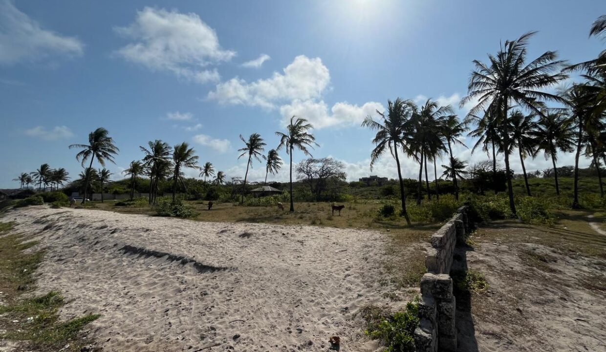 WhatsApp Image 2025-09-18 at 4.07.01 PM (6)