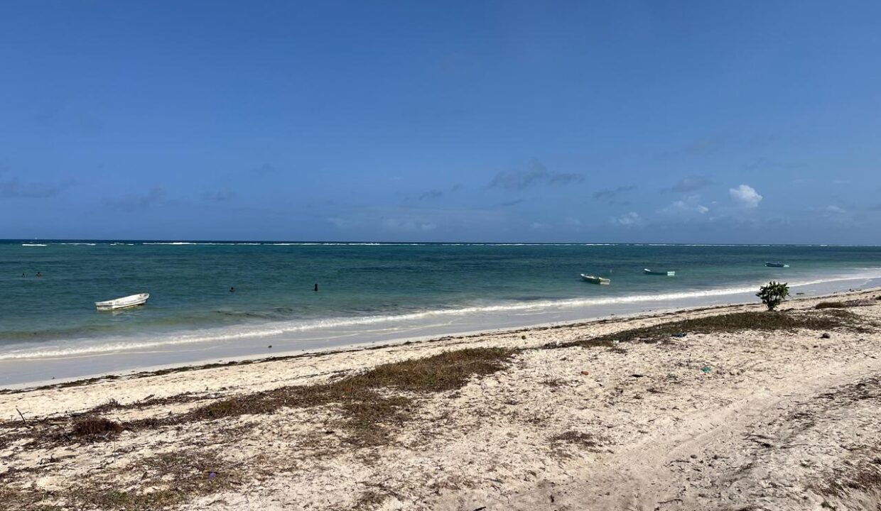 WhatsApp Image 2025-09-18 at 4.07.01 PM (8)