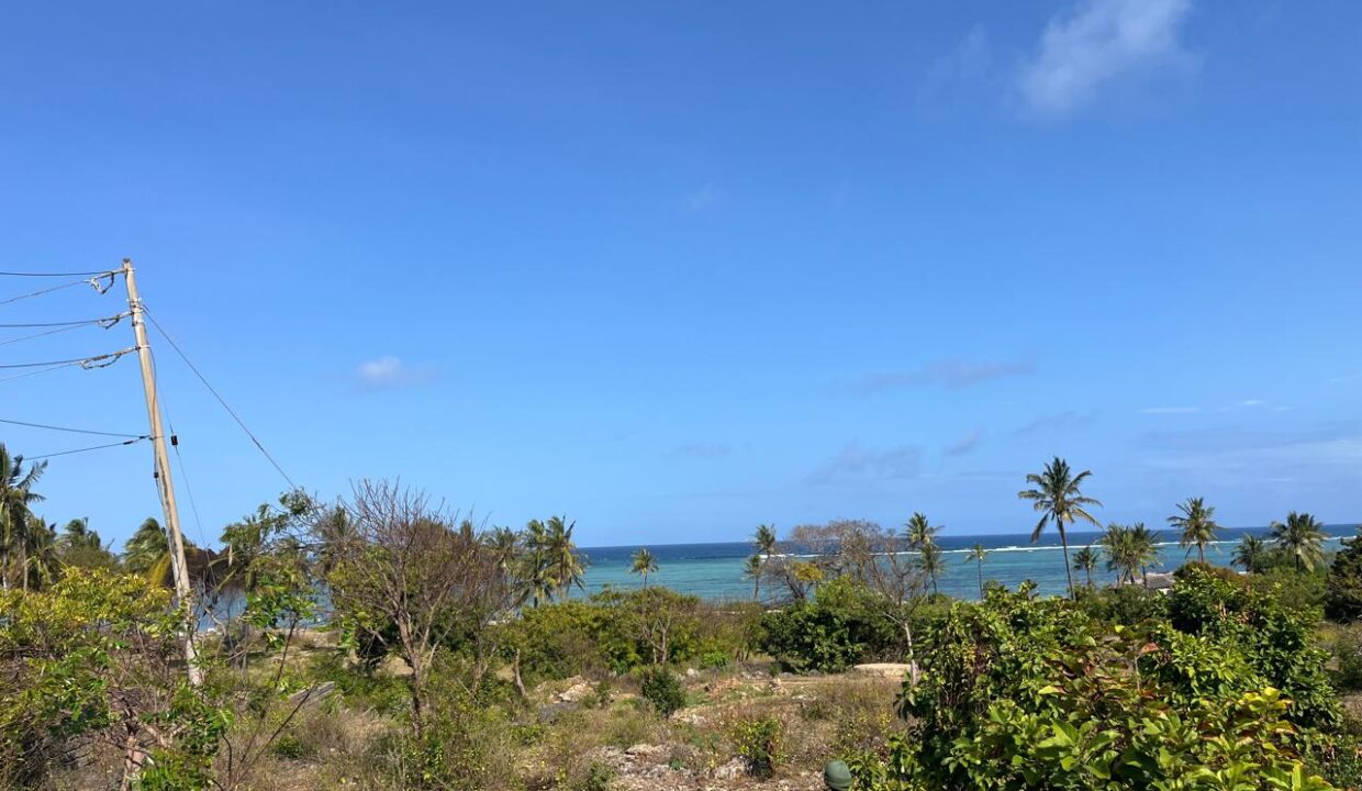 WhatsApp Image 2025-09-18 at 4.07.01 PM (9)