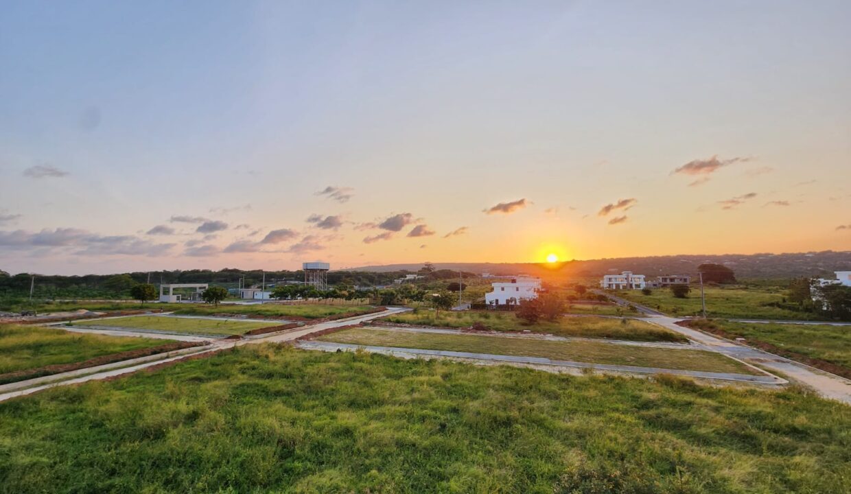 WhatsApp Image 2025-09-19 at 12.21.16 PM