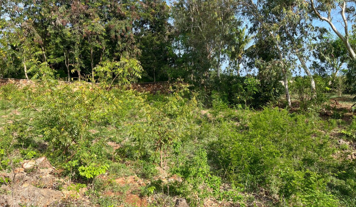 WhatsApp Image 2026-03-23 at 12.17.00