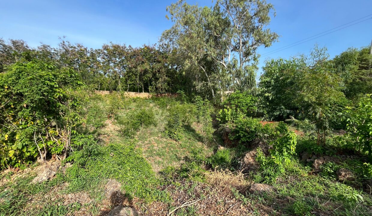 WhatsApp Image 2026-03-23 at 12.17.0rr0