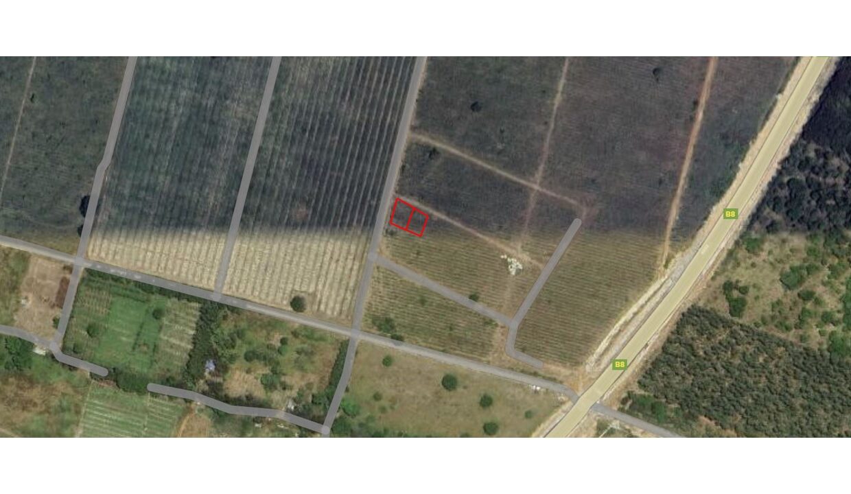 Vipingo plots earth 2