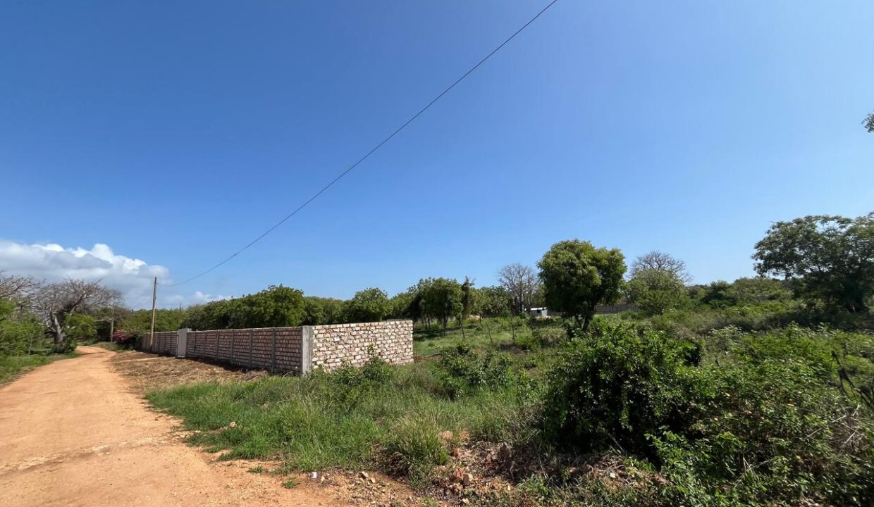 WhatsApp Image 2025-11-15 at 16.40.13 (1)