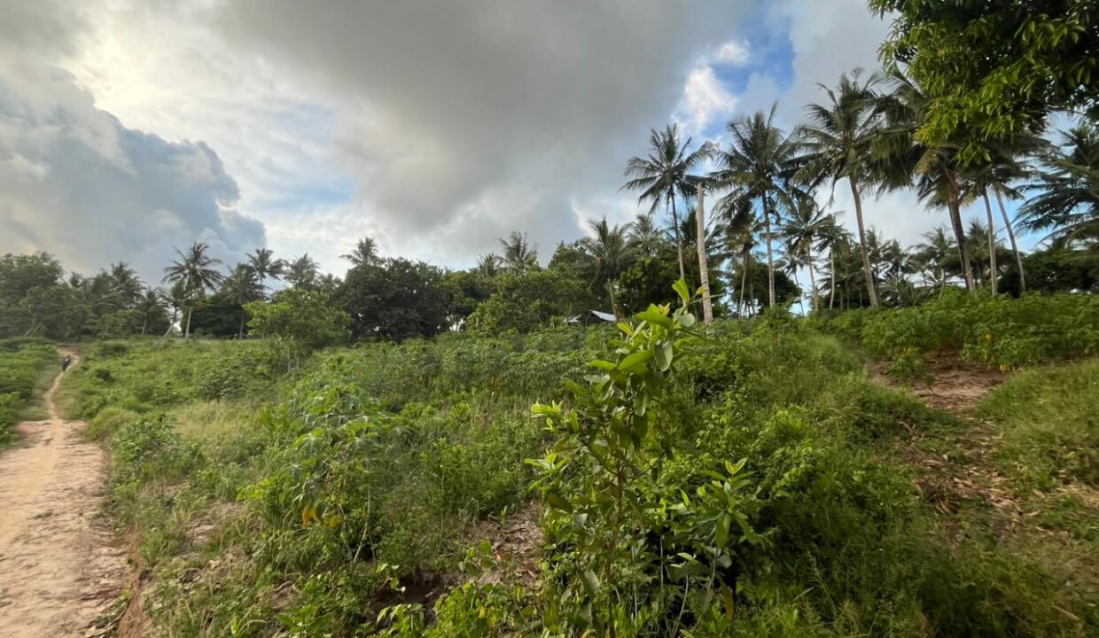 WhatsApp Image 2025-12-12 at 13.16.05 (1)