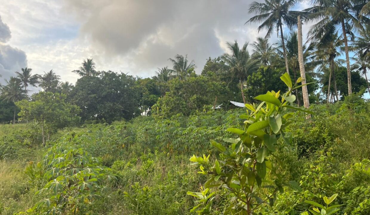 WhatsApp Image 2025-12-12 at 13.16.05