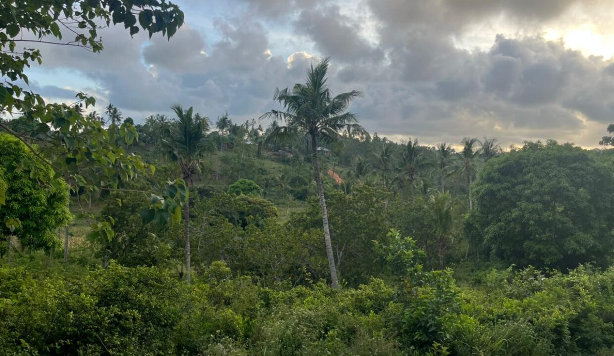 WhatsApp Image 2025-12-12 at 13.16.05 (2)