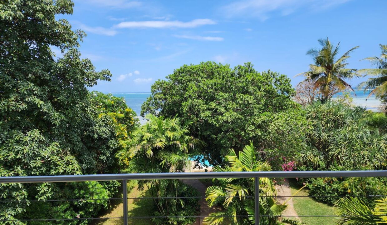 WhatsApp Image 2025-12-19 at 14.46.52