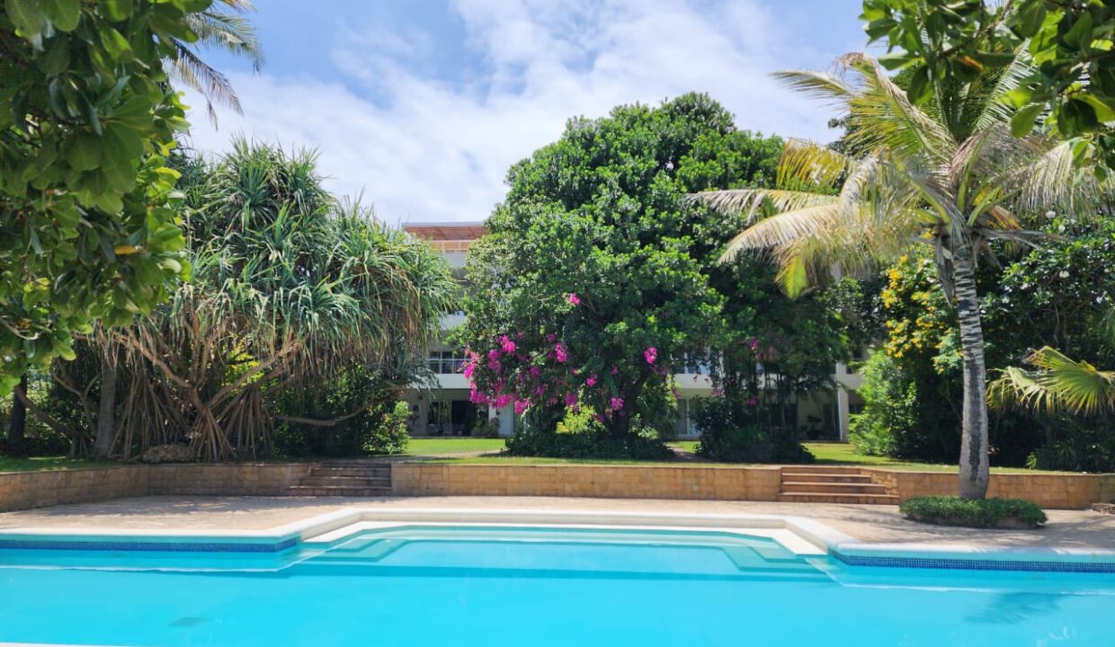 WhatsApp Image 2025-12-19 at 14.46.58