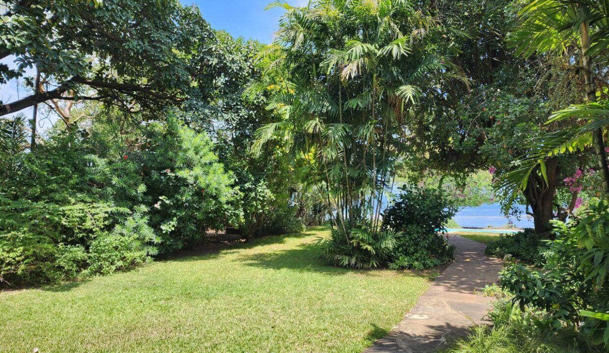 WhatsApp Image 2025-12-19 at 14.46.59 (1)