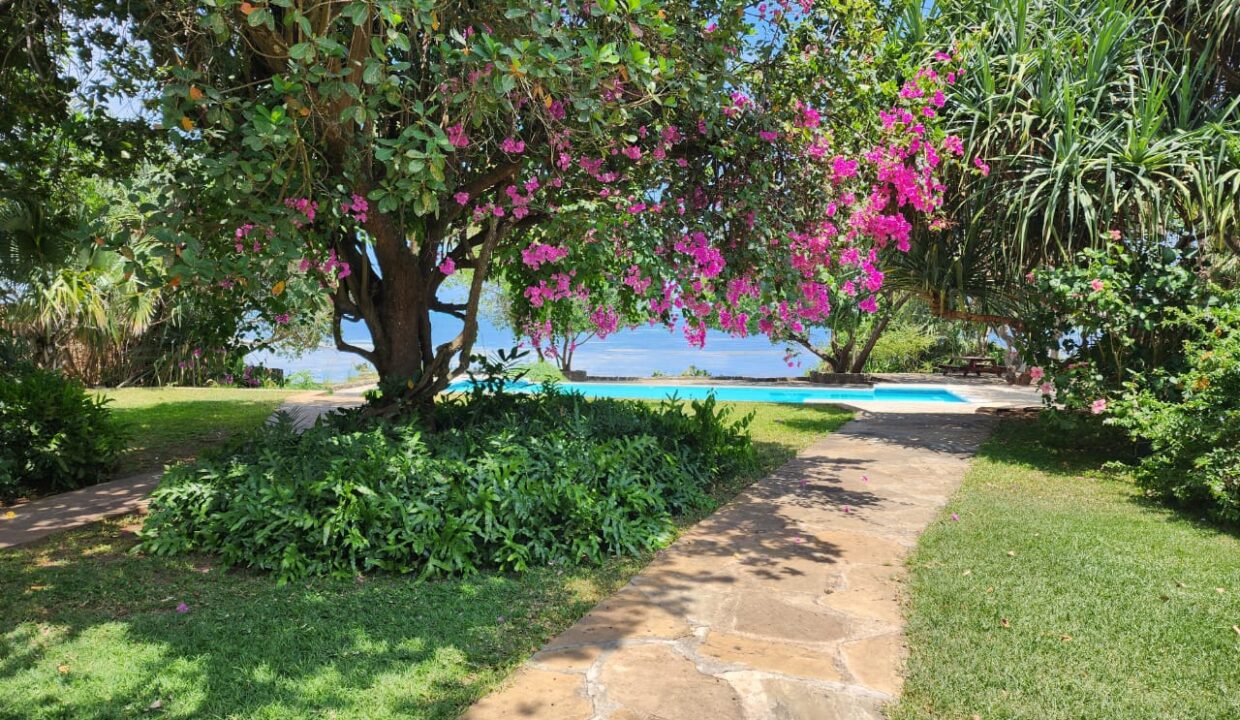 WhatsApp Image 2025-12-19 at 14.47.00