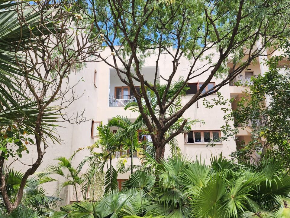 WhatsApp Image 2025-12-19 at 14.47.01 (1)