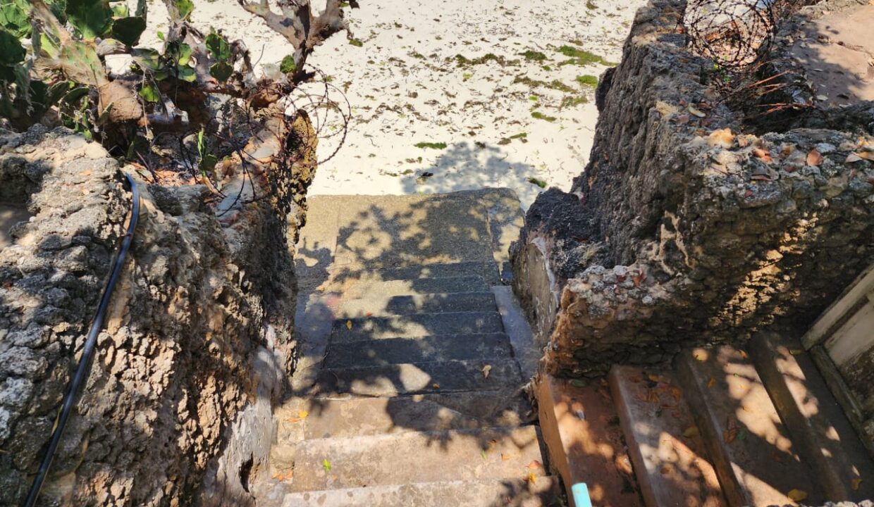 WhatsApp Image 2025-12-19 at 14.47.01