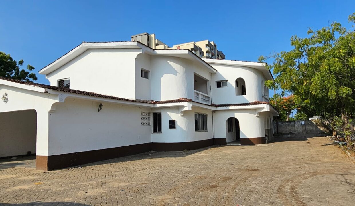 WhatsApp Image 2026-03-16 at 20.42.16 (1)