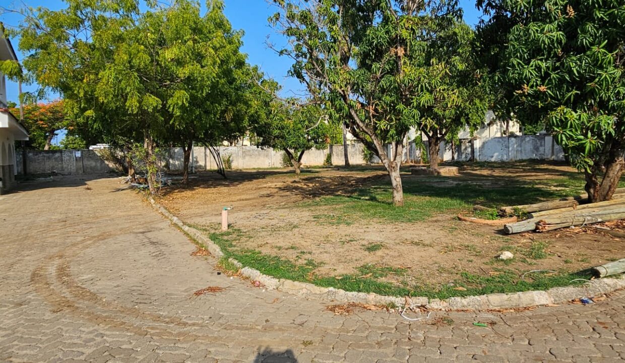 WhatsApp Image 2026-03-16 at 20.42.16