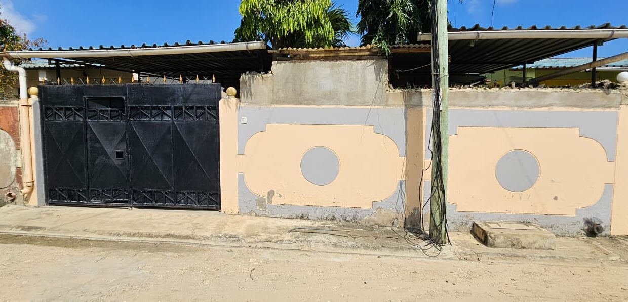 d49284fe-5bd5-4660-bacf-cbc35e5f758e