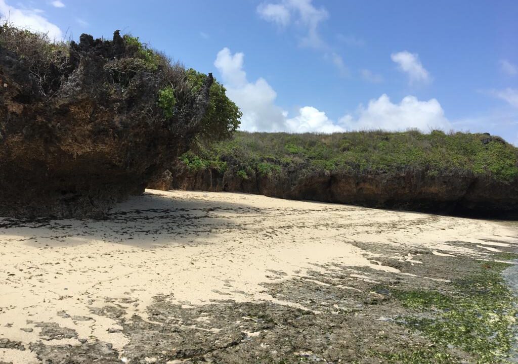 WhatsApp Image 2026-03-26 at 20.47.34