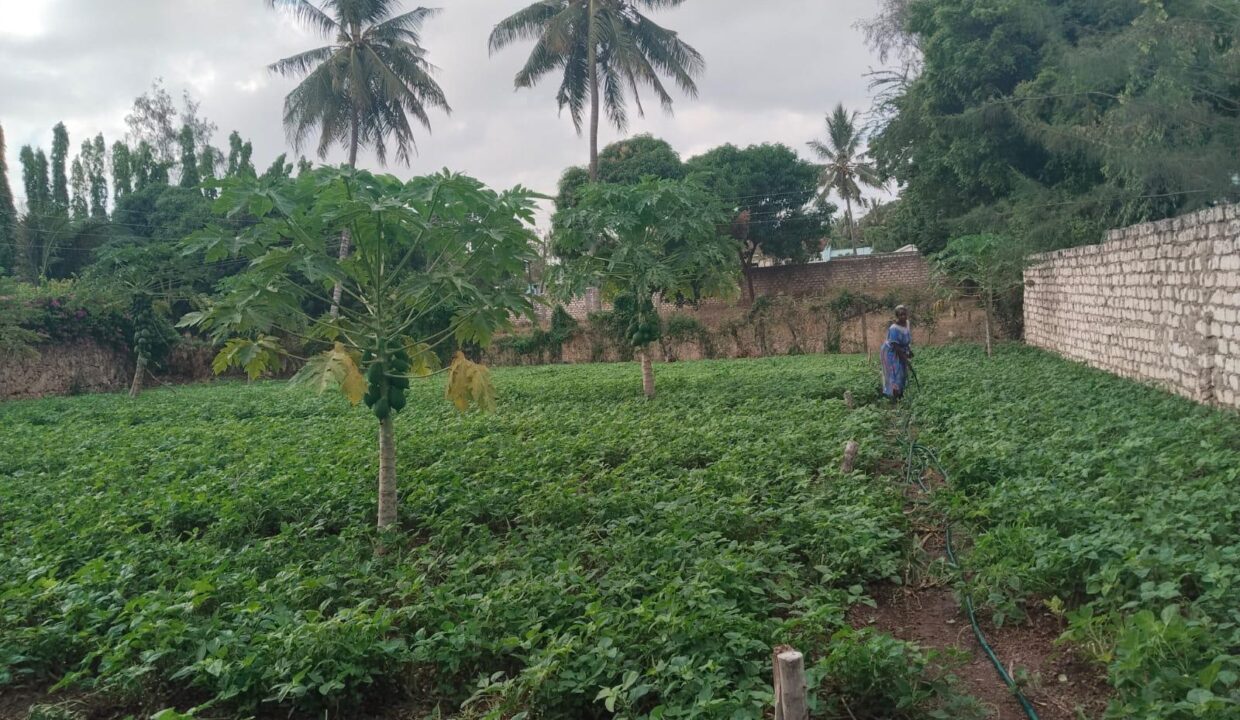 WhatsApp Image 2026-03-29 at 11.07.13 (1)