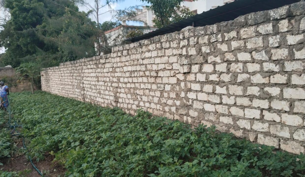 WhatsApp Image 2026-03-29 at 11.07.13