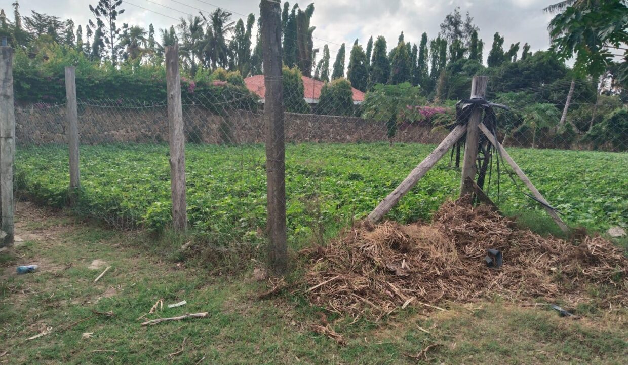 WhatsApp Image 2026-03-29 at 11.07.14 (1)